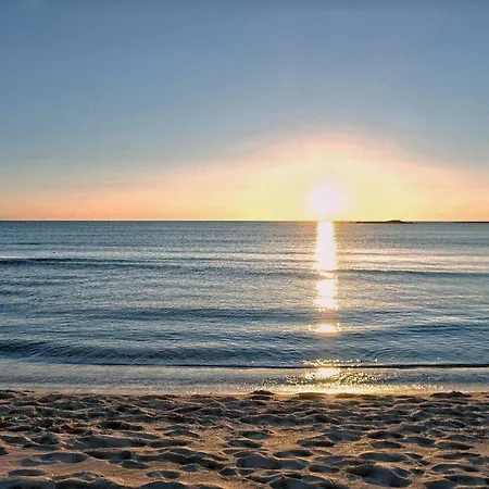 Ornella 莱韦拉诺